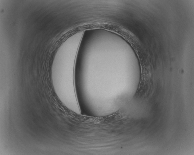 X0000081630773200701151119
