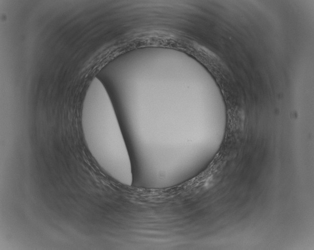 X0000081630774200701151119