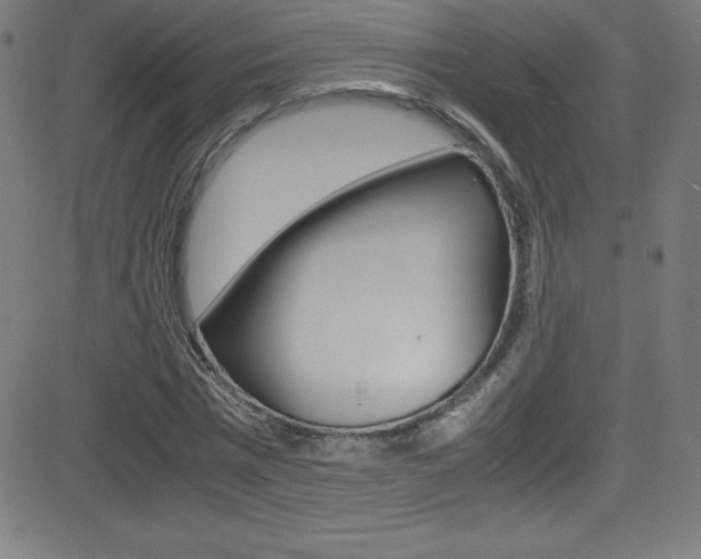 X0000081630777200701151119