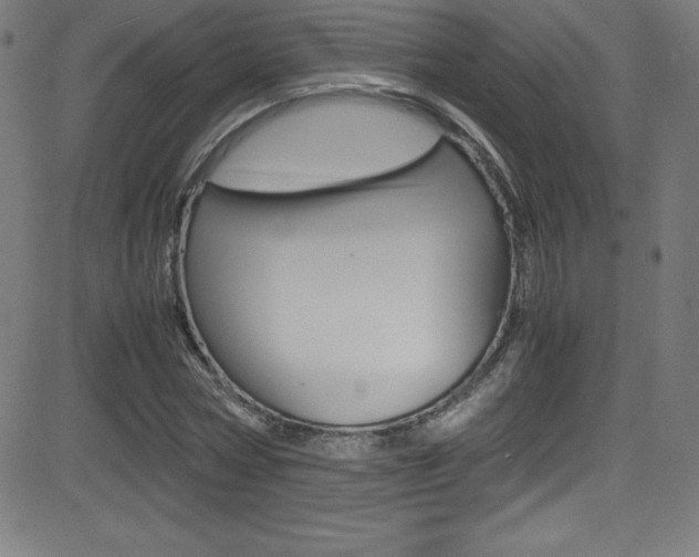 X0000081630778200701151119
