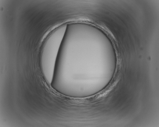 X0000081630781200701151119