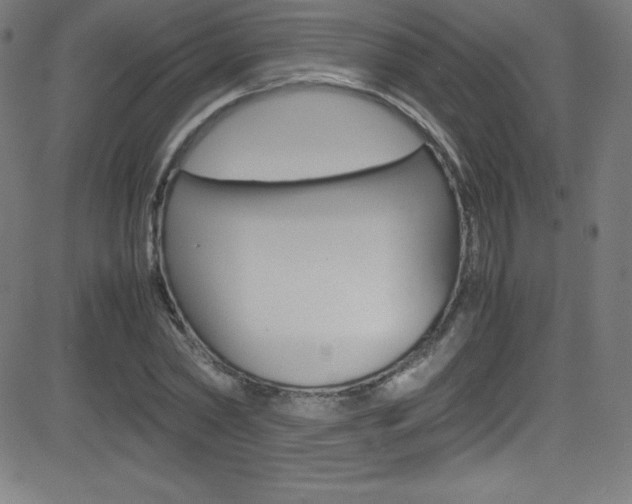 X0000081630782200701151119