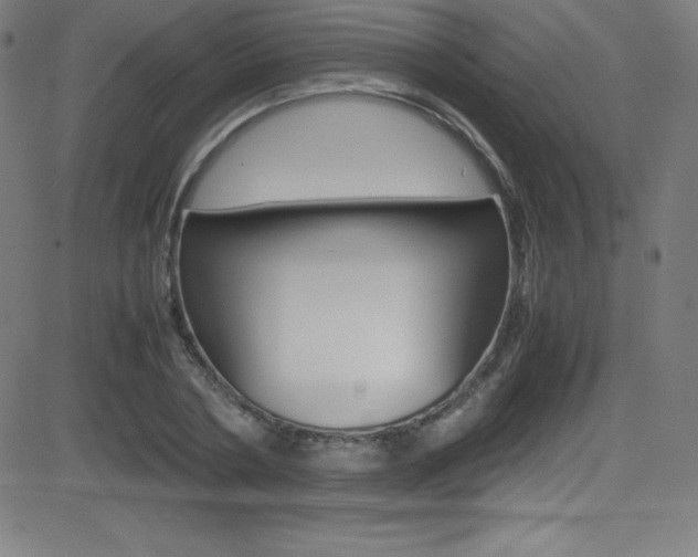 X0000081630786200701151119