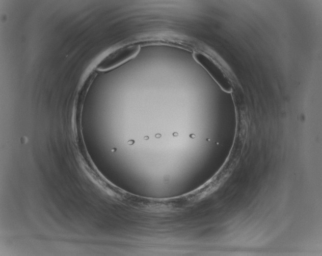 X0000081630788200701151119