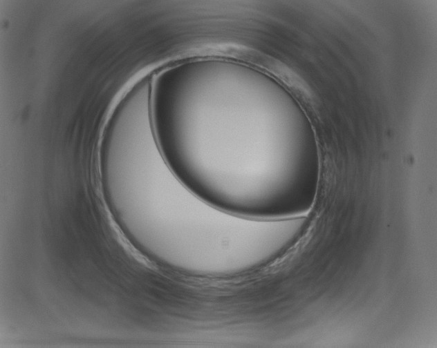 X0000081630792200701151119