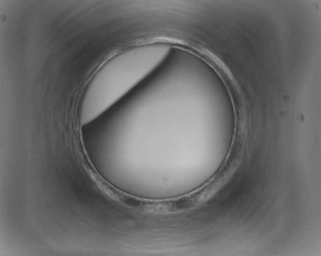 X0000081630793200701151119