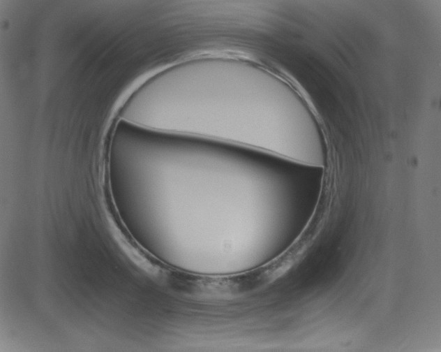X0000081630795200701151119
