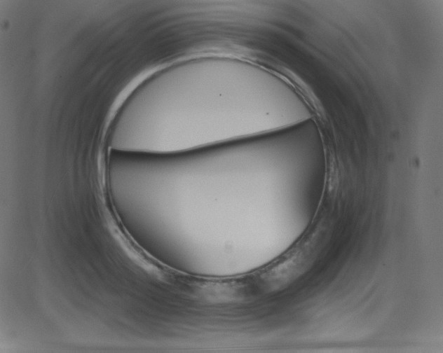 X0000081630796200701151119