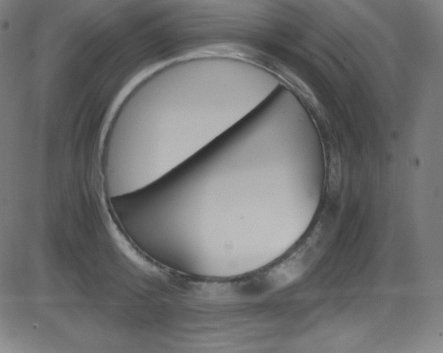 X0000081630800200701151118