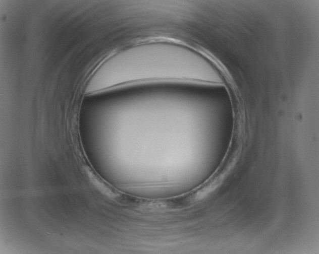 X0000081630801200701151118