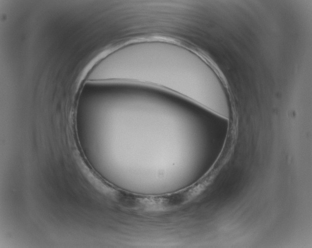 X0000081630805200701151118
