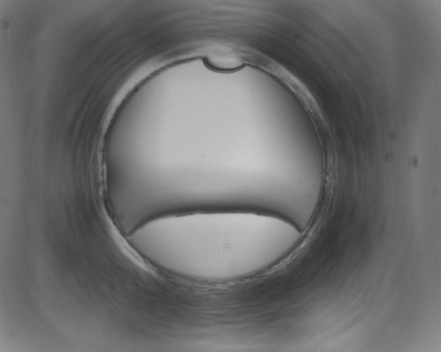 X0000081630808200701151118
