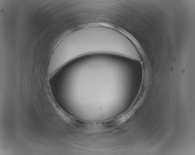 X0000081630809200701151118