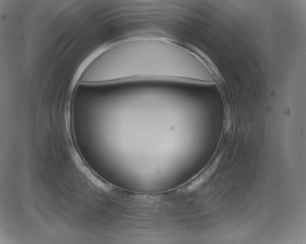 X0000081630812200701151118