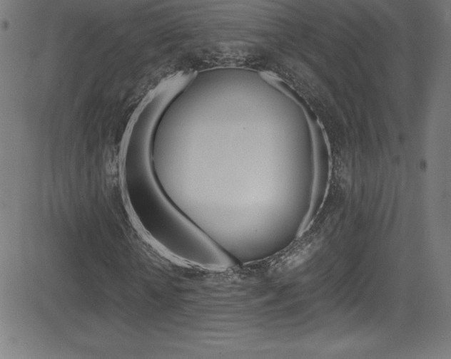 X0000081630818200701151117