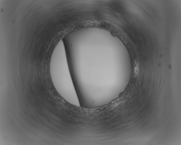 X0000081630819200701151117