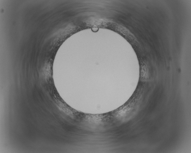 X0000081630820200701151117