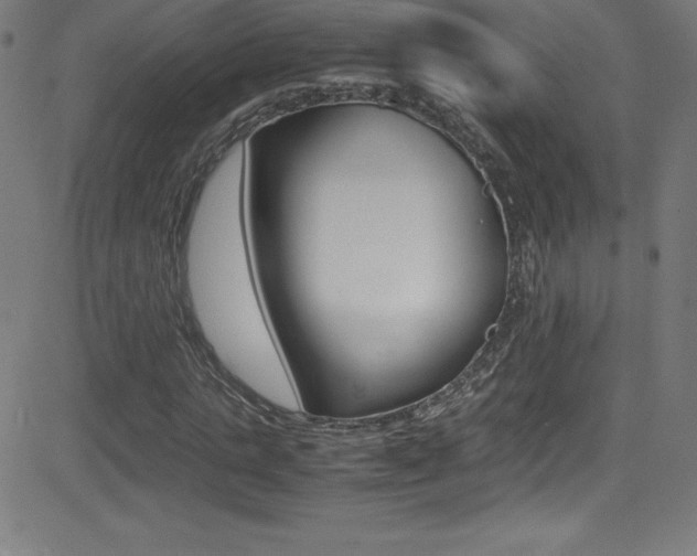 X0000081630821200701151118