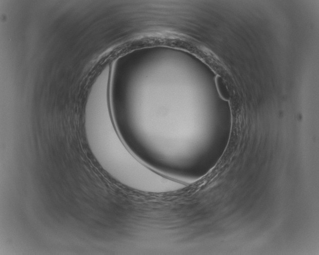 X0000081630822200701151118