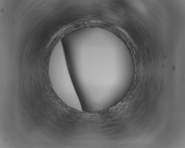 X0000081630823200701151118