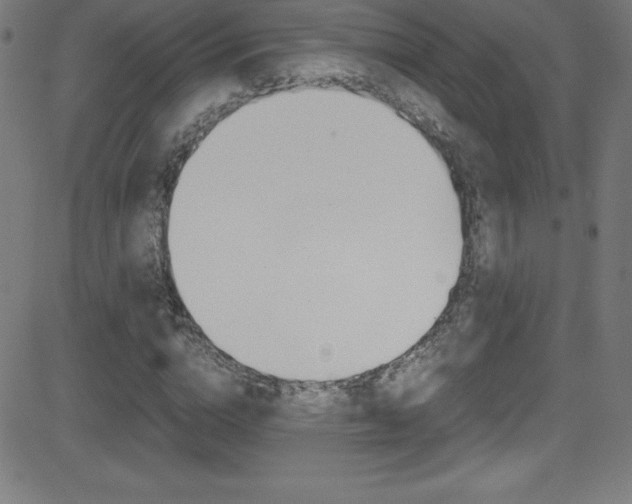 X0000081630824200701151118