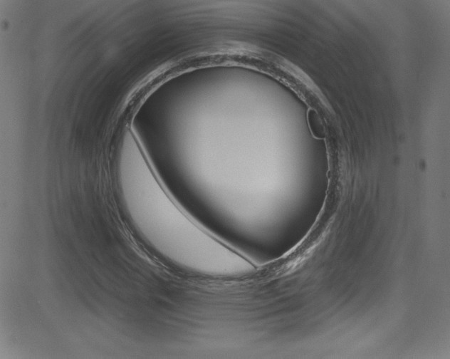 X0000081630826200701151118