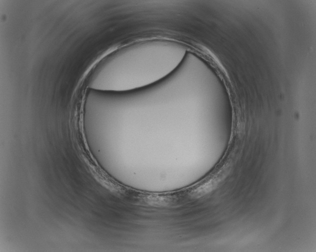 X0000081630827200701151118