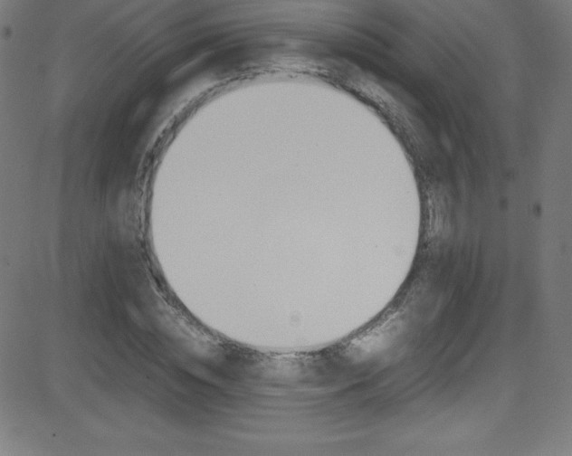 X0000081630828200701151118