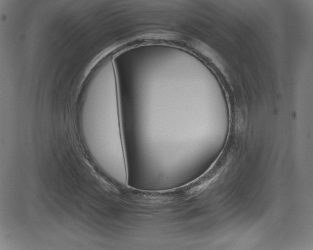 X0000081630829200701151118