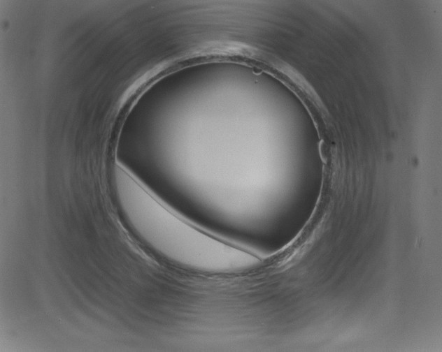X0000081630834200701151118