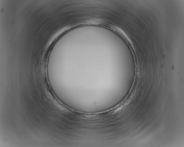 X0000081630835200701151118