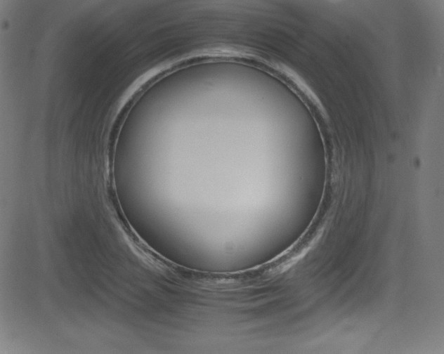 X0000081630837200701151118