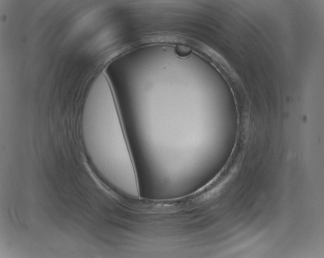 X0000081630841200701151118