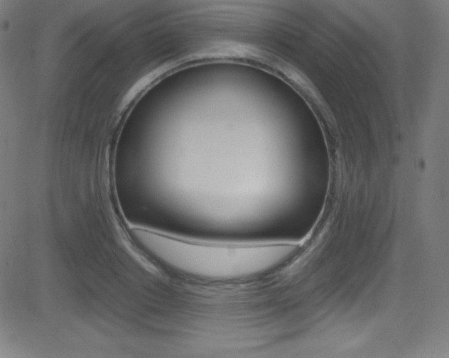 X0000081630842200701151118