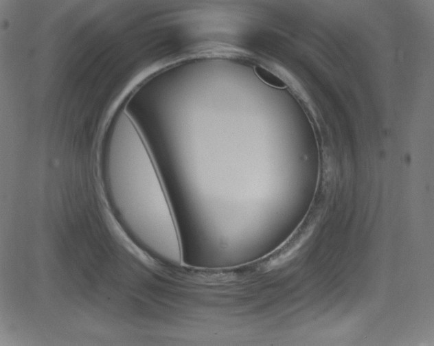 X0000081630843200701151118