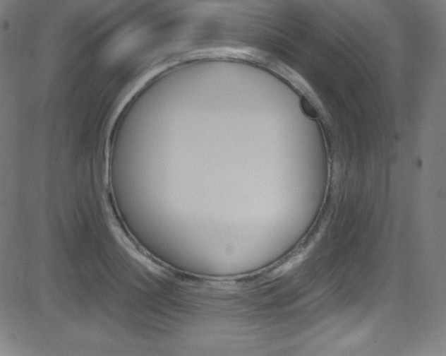 X0000081630844200701151118
