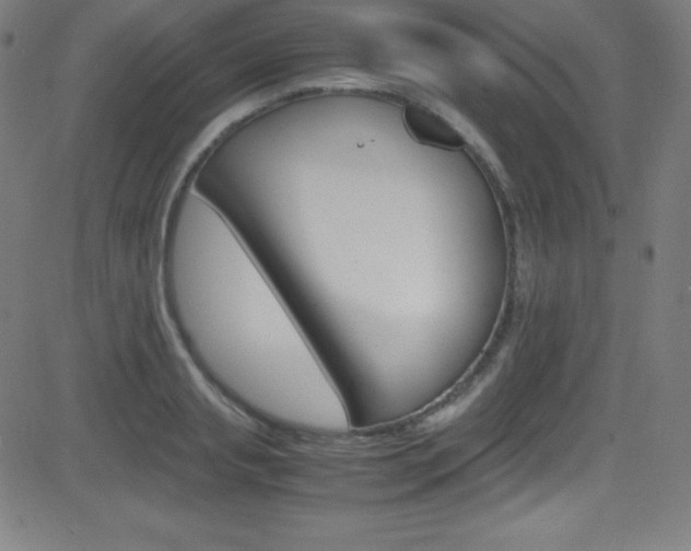 X0000081630845200701151118
