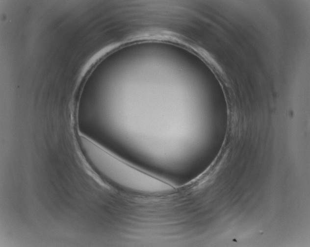 X0000081630846200701151118