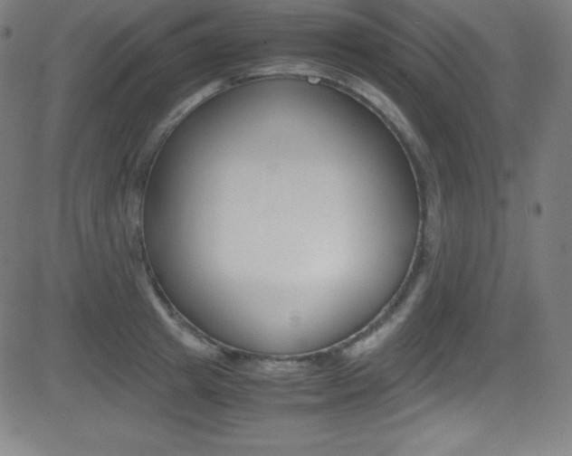 X0000081630849200701151118