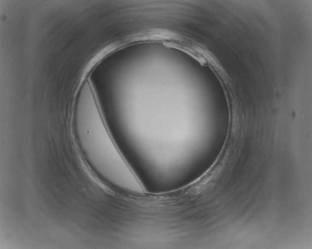 X0000081630850200701151118