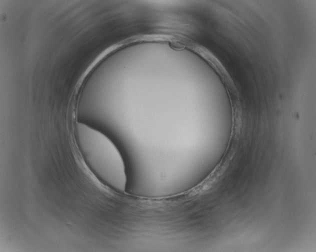 X0000081630852200701151118