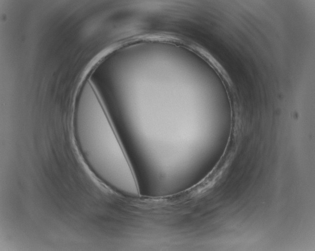 X0000081630853200701151118