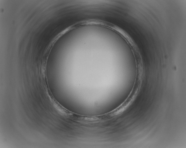 X0000081630857200701151118