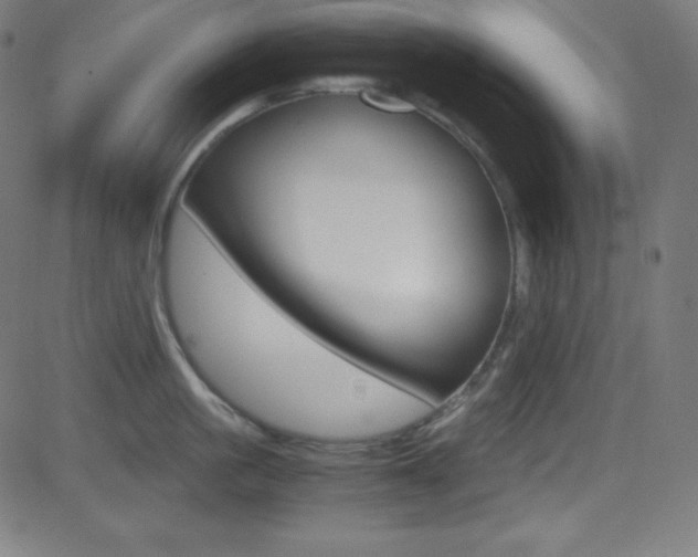 X0000081630861200701151118