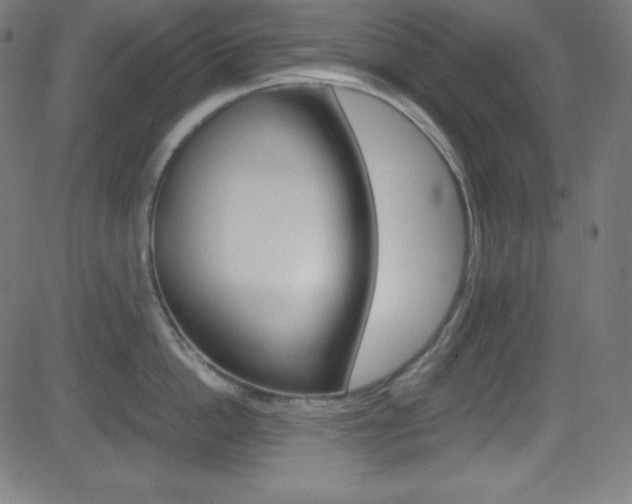 X0000081630862200701151118
