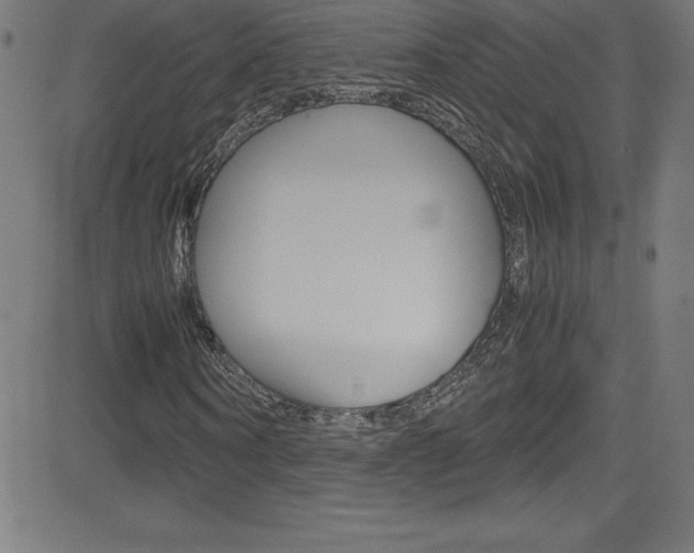 X0000081630866200701151117