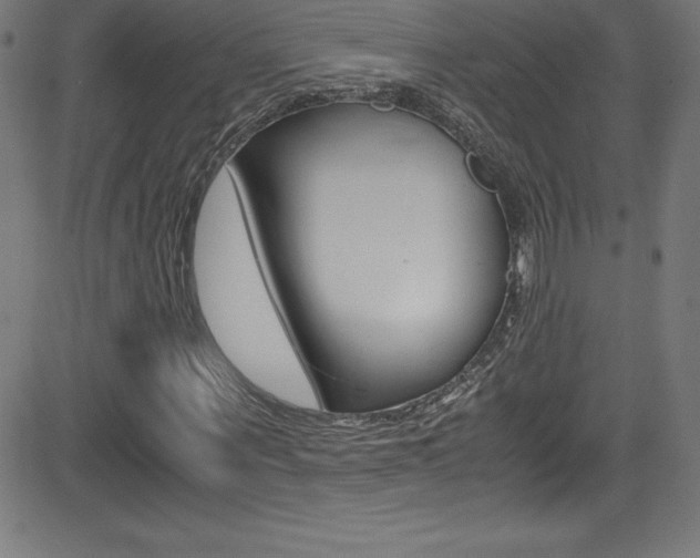 X0000081630867200701151117