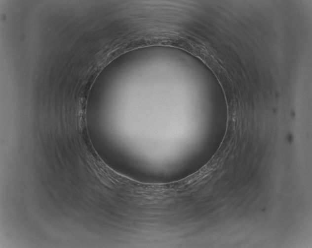 X0000081630868200701151117