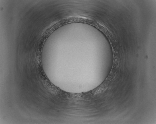 X0000081630870200701151117