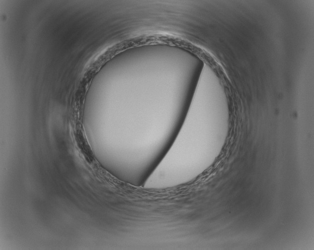 X0000081630871200701151117